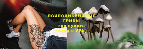 спиды Нефтекумск